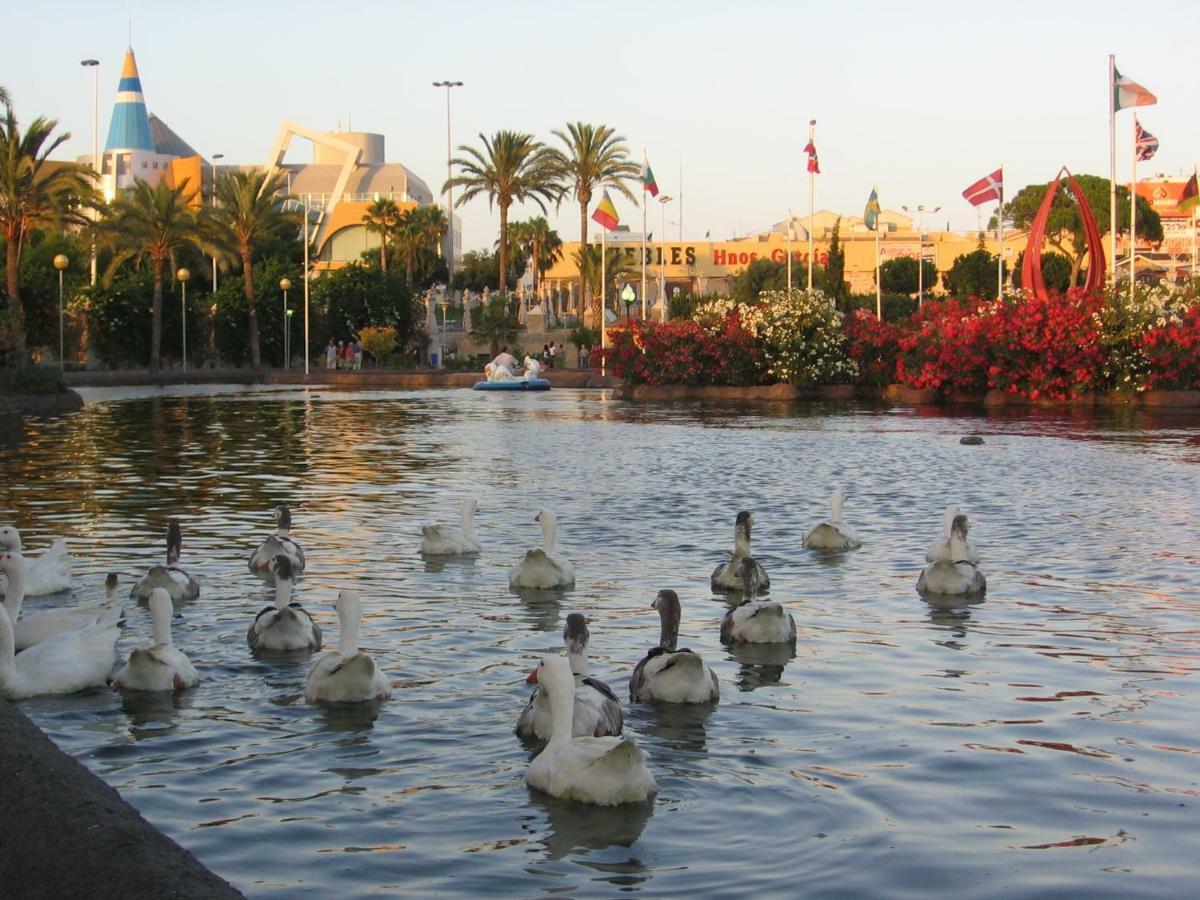 Daniela Apartament Torrevieja Ngoại thất bức ảnh
